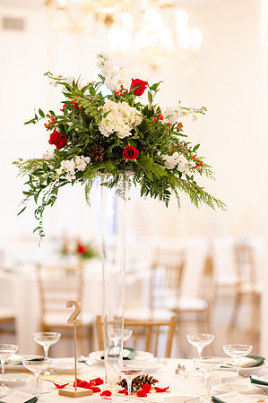 kaywarnerphoto-8242
