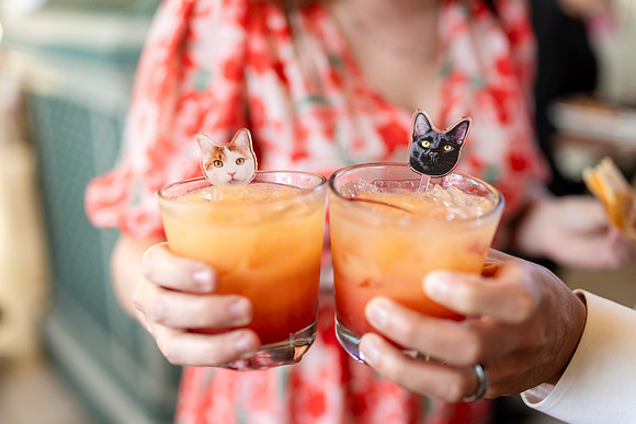 DSC08192
