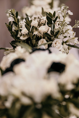Kaywarnerphoto-47