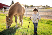 12 KAY13615