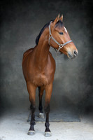 512A3284-Edit-Edit-Evoto