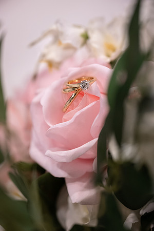 61 DSCF1229