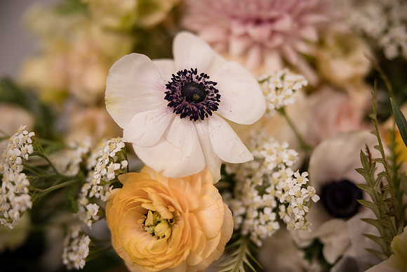 8-7-22 (30 of 416)