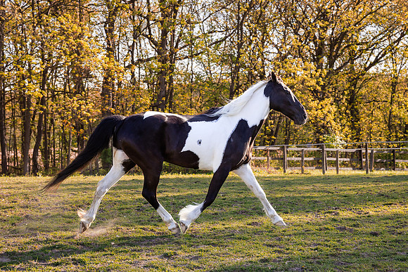Laura-35