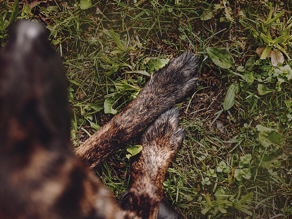 BR1A4407-Edit
